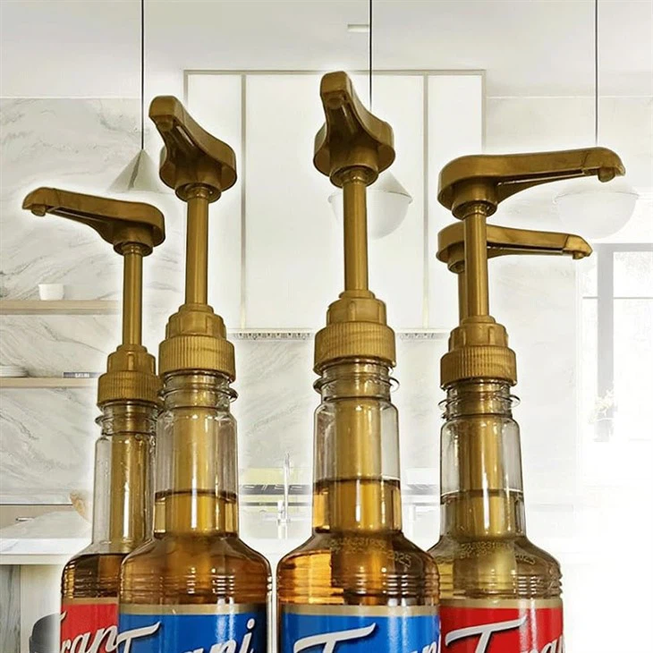 tomato paste pump